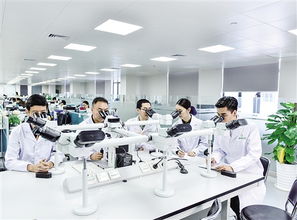 营商环境优化 高端资源汇聚 黄埔产业创新源赋能生物技术开发