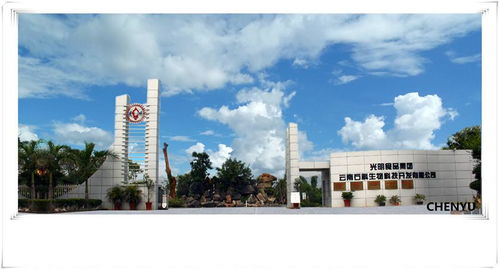 光明食品集团云南石斛生物科技开发与生物技术开发服务