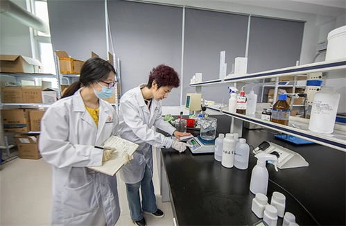 抓品质重服务，海智生物专注品质，倚梦前行